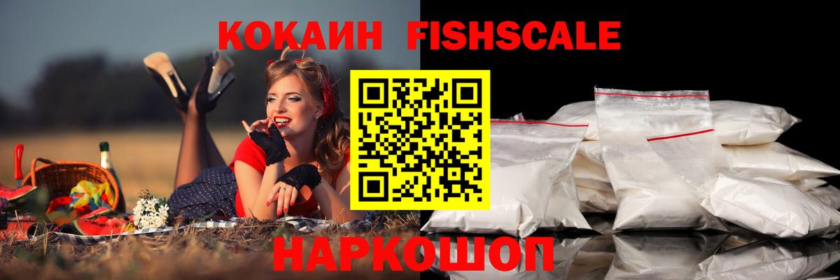COCAIN Fish Scale  Cocaine Эквадор  купить закладку  Вход с VPN  Изобильный 