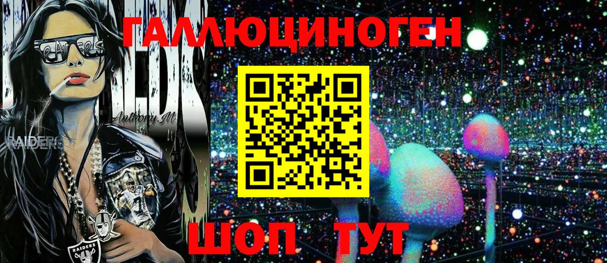 Псилоцибиновые грибы мицелий Изобильный